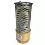 Check pascon Flomatic 1" (25 mm)