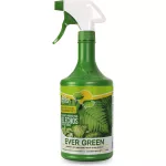 Fertilizante organico para helechos litro Evergreen