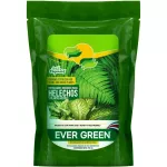 Fertilizante organico para helechos doy pack Evergreen