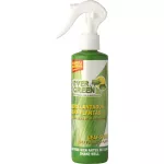 Abrillantador para plantas 250 ml Evergreen