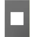 Placa 2 modulos 1 espacio magnesio Adorne Legrand AWP1G2MG6