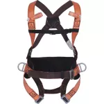 Arnes con 4 anillos y cinturon lumbar Delta Plus HAR14GT (certificacion EN361)