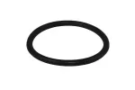 Repuesto o-ring para fluxometro Sloan H-553 / 5308696