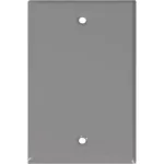 Placa ciega de acero para intemperie 4” x 2” gris UL