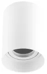 Lampara de techo cilindro de sobreponer E27 PAR20 35W IP20 (150 x 110 mm) blanco Blumenau 55552004